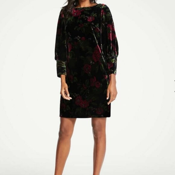 Ann Taylor Dresses & Skirts - Velvet Floral with bateau neckline Puff Sleeve Shift Dress with Bishop Sleeves